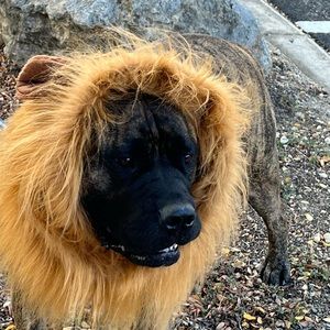 Meet your Posher, Benjamin